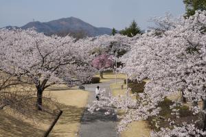 みずいろ公園
