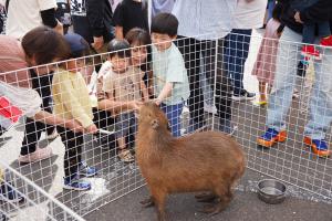 動物園