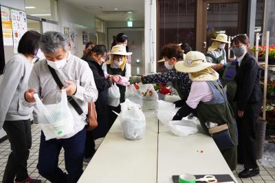 花苗プレゼント