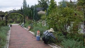 除草作業_サポーター活動②