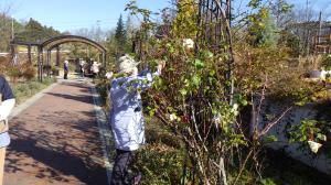 12月サポーター活動写真①_クリスマス飾り付けの様子