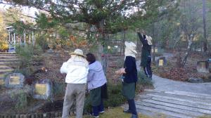 12月サポーター活動写真②_クリスマス飾り付けの様子