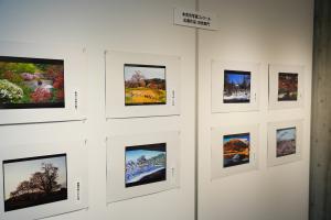 作品展示の様子