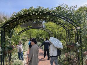 英国庭園見学の様子