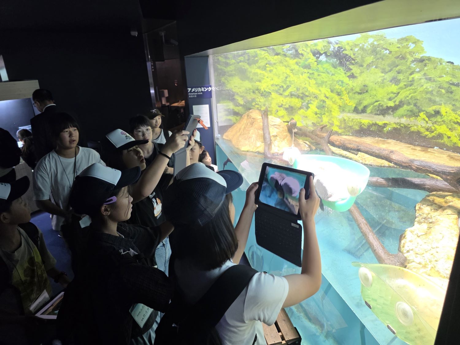 水族館①